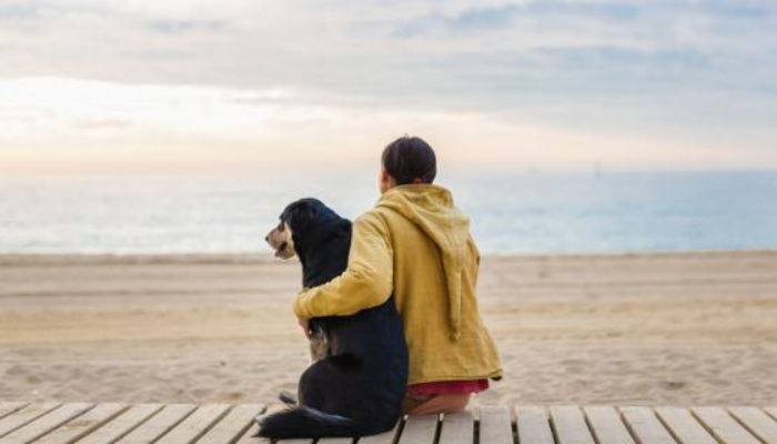 Cães detectam emoções