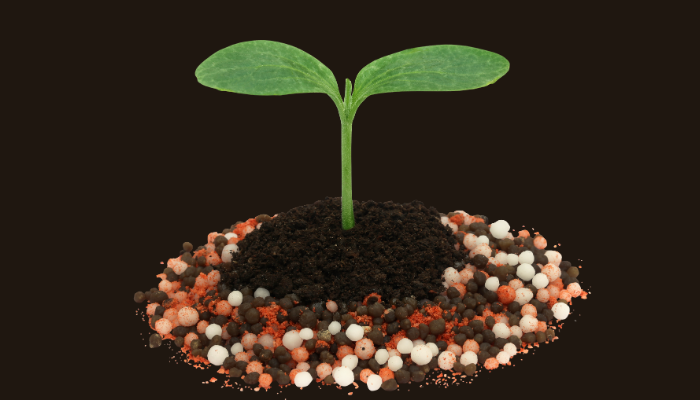 Fertilizante caseiro que traz vida nova para suas plantas: receita fácil que funciona!